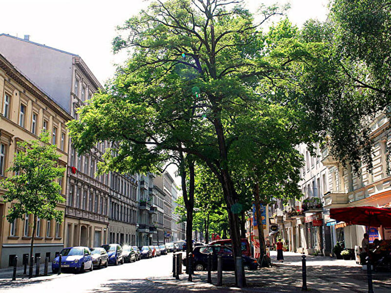 Sperrmüllabfuhr Charlottenburg-Wilmersdorf Berlin